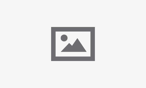 Acta de Nacimiento en Inglés: Guía Completa con Notary Public Center