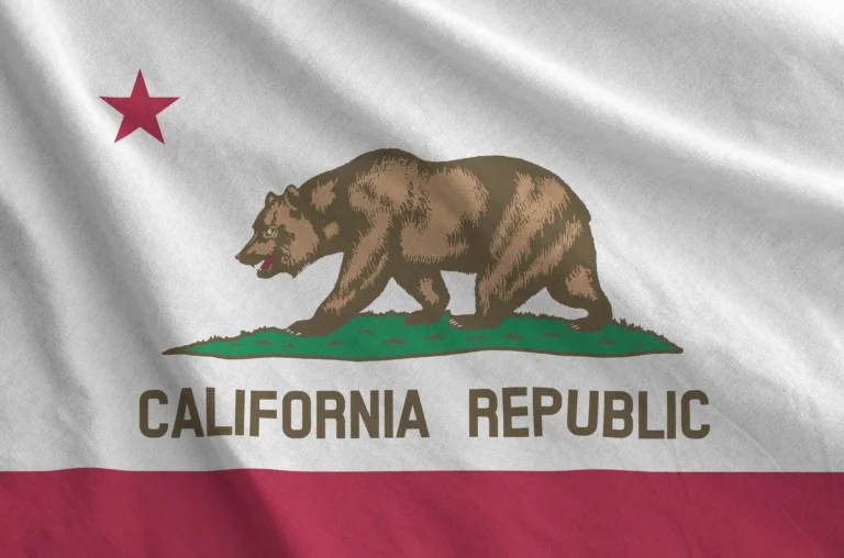 Apostille en California: qué es, cómo funciona y cómo te ayudamos en todo el proceso