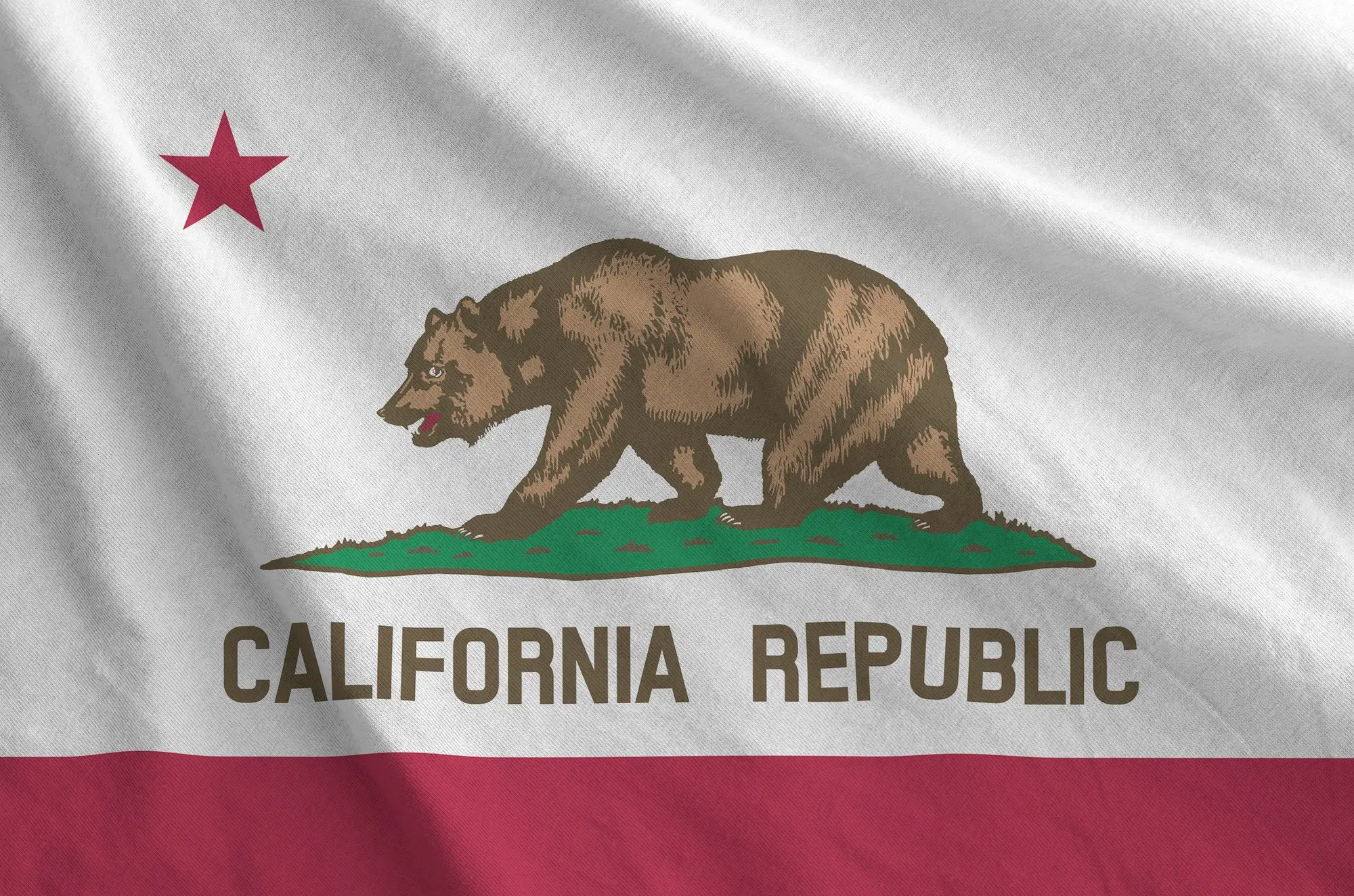 California US state flag by Apostilledelahaya