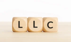 LLC or Limited Liability Company concept