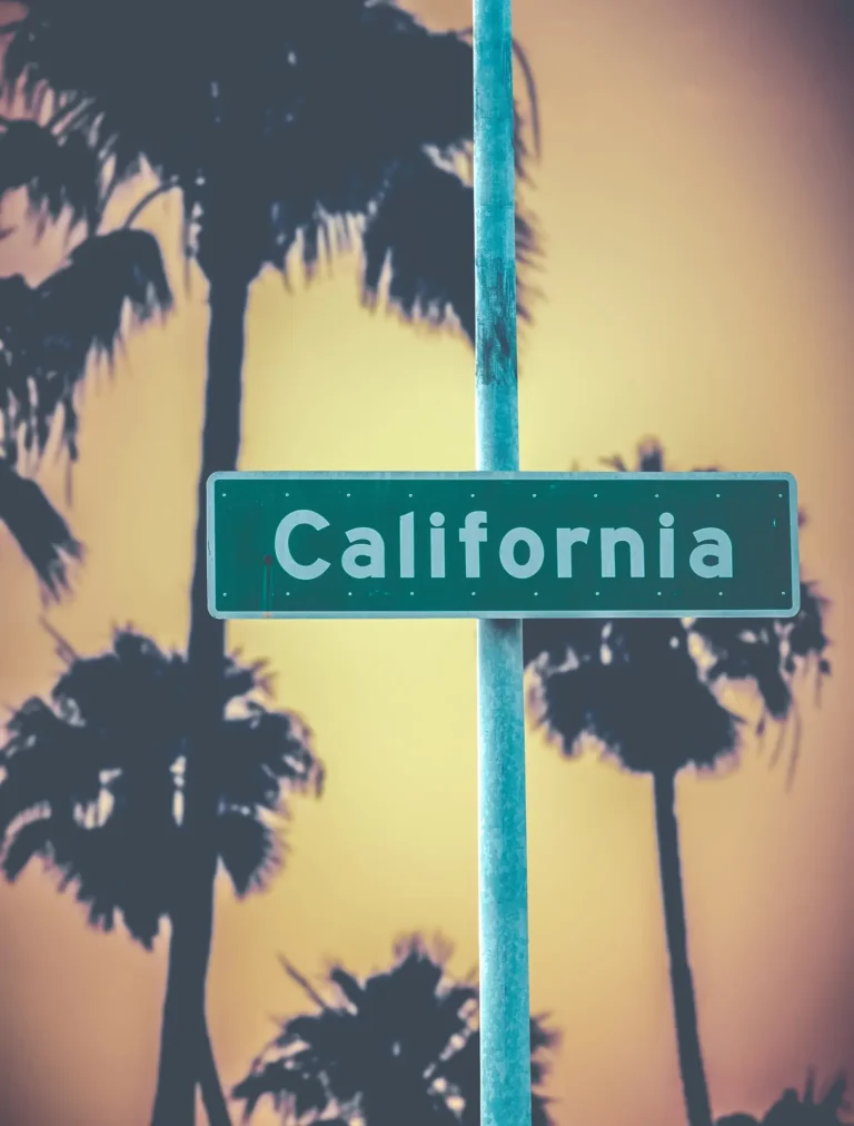 Retro california palms