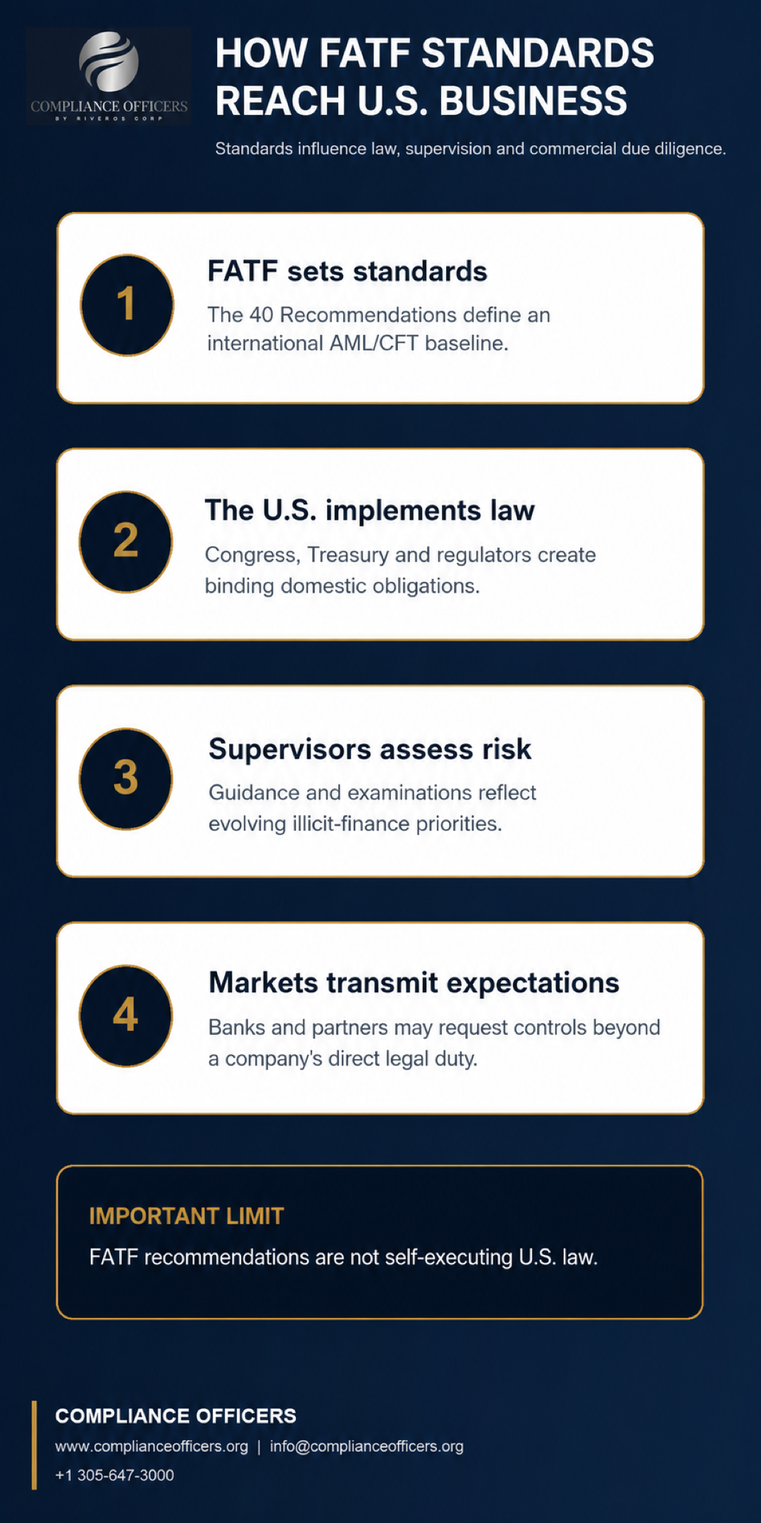 financial action task force