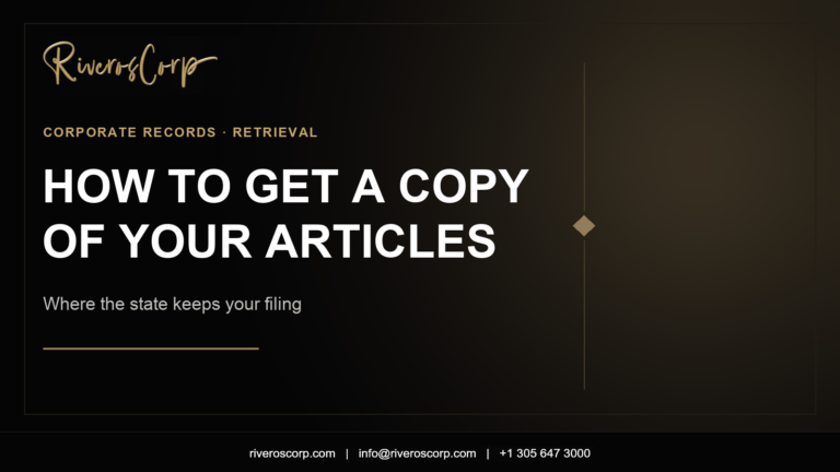 How to get a copy of your articles of incorporation from the state — Riveros Corp